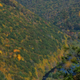 Illustration for article titled Fall Photos 2
